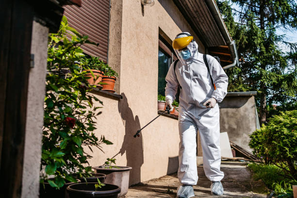 Best Rat Extermination Near Me  in Anthony, TX