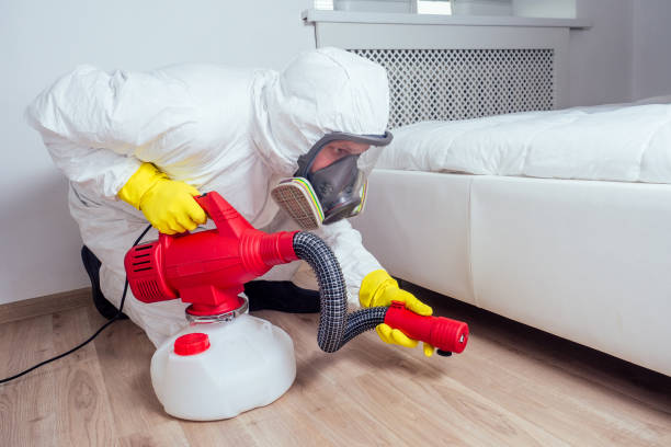 Best Insect Control  in Anthony, TX
