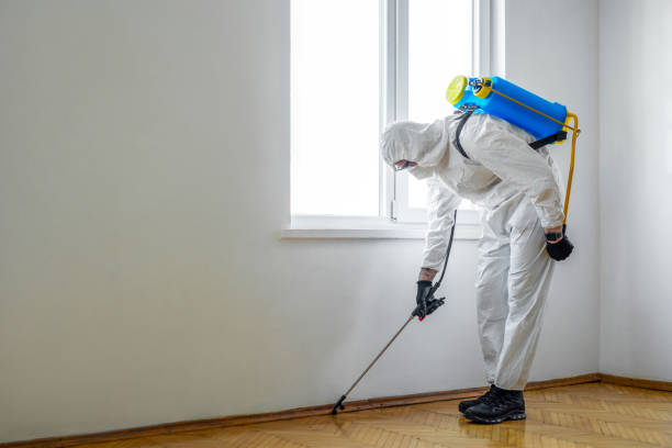 Best Best Pest Control Companies  in Anthony, TX