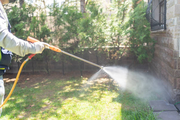 Best Wildlife Control Services  in Anthony, TX