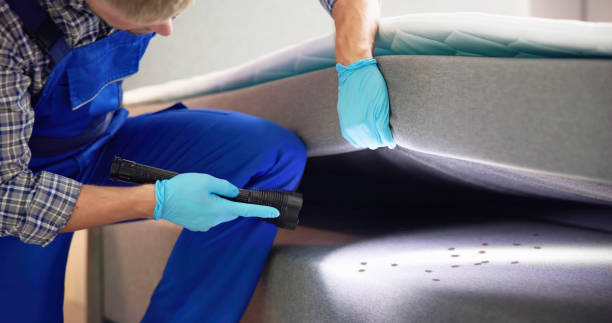 Best Pest Inspection Near Me  in Anthony, TX