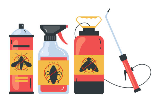 Best Emergency Pest Control  in Anthony, TX