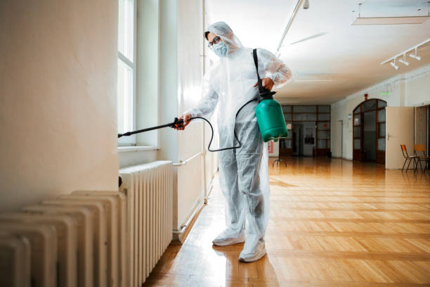 Best Bed Bug Extermination  in Anthony, TX